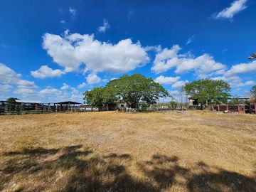 Rancho en venta, de 24 hectáreas, a sólo 15 minutos de Mérida Yuc.