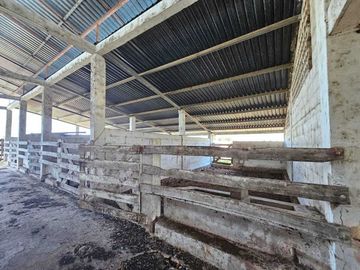 Rancho en venta, de 24 hectáreas, a sólo 15 minutos de Mérida Yuc.