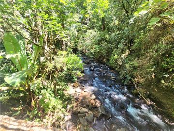 Venta de Rancho en Temascaltepec, Estado de México