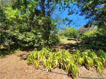 Venta de Rancho en Temascaltepec, Estado de México