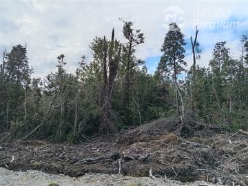 Parcela en Venta en Las Chilcas Lote 43