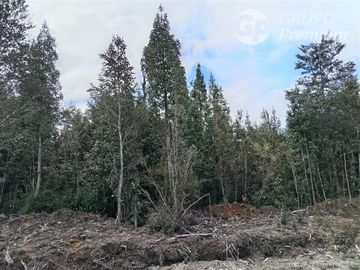 Parcela en Venta en Las Chilcas Lote 43