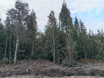 Parcela en Venta en Las Chilcas Lote 43