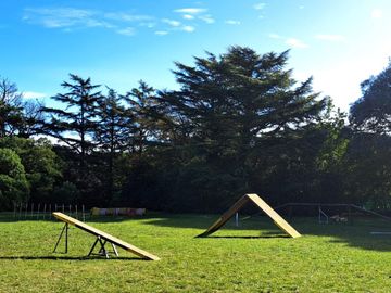 CASA QUINTA DE 6 AMBIENTES SOBRE UNA SUPERFICIE DE 1 HECTAREA DE PARQUE