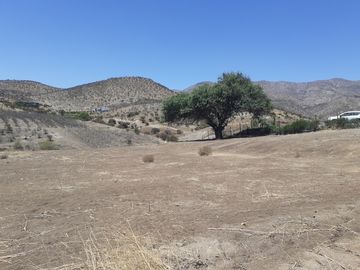 SE VENDE HERMOSA PARCELA SECTOR CHACABUCO ,COLINA