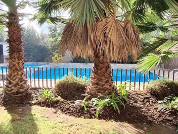 Departamento en venta en MACUL