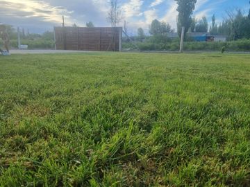 Cabaña en Venta en El Carrizal de Abajo: !!