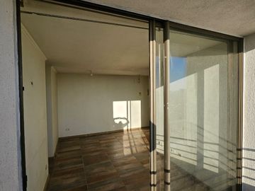 GAMERO CON VIVACETA