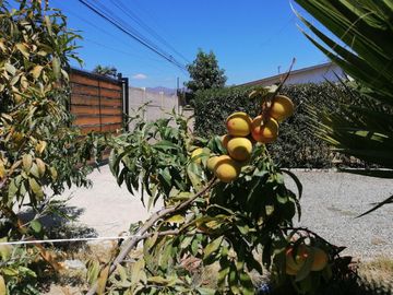 Se vende acogedora casa de un piso Limache Viejo