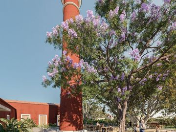 Terreno Comercial en Venta en Privada Hacienda San Eduardo, Telchac