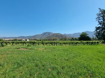 ISLA DE MAIPO/ZUÑIGA