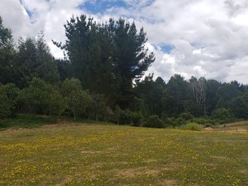 LONCOCHE/VILLARRICA