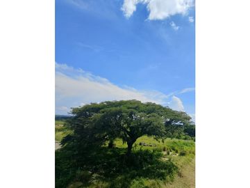 Se renta hermoso Apartamento piso 2 para estrenar en Cerritos Pereira