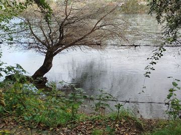 Parcela en Venta en Orillas Rio San Pedro a 5 km de ruta 5 sur