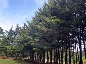 Terreno residencial en venta en Rancho o rancheria San José Ocotillos