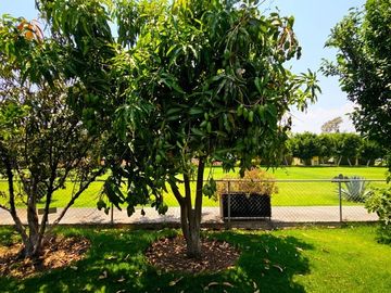 Quinta Elena en venta Atlixco Puebla