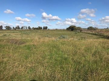 Campo 192 has. Excelente ubicación sobre ruta 36