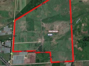 Campo 192 has. Excelente ubicación sobre ruta 36
