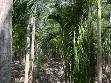 Finca en venta | ENTREGA INMEDIATA |