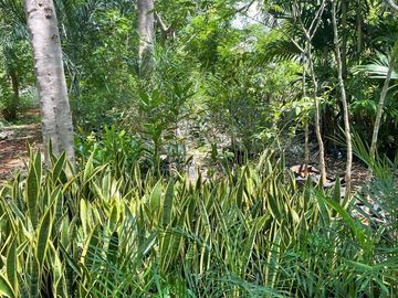 Finca en venta | ENTREGA INMEDIATA |