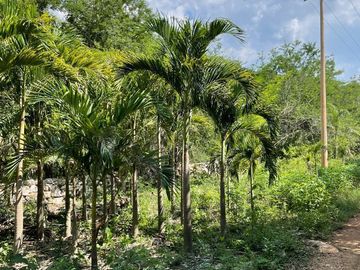 Finca en venta | ENTREGA INMEDIATA |
