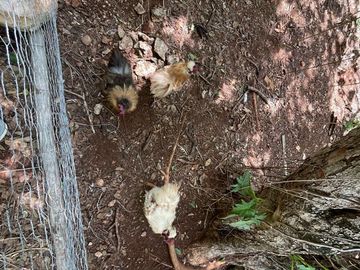 Finca en venta | ENTREGA INMEDIATA |