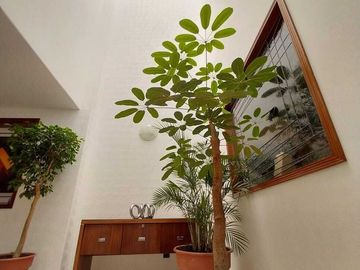 CC BAJÓ DE PRECIO!!! VENTA DE HERMOSA Y AMPLIA CASA, SANTA CATARINA, COYOACÁN