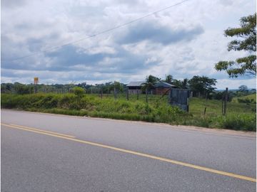 SE VENDE FUNDO EN CARRETERA YURIMAGUAS - TARAPOTO