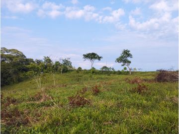SE VENDE FUNDO EN CARRETERA YURIMAGUAS - TARAPOTO