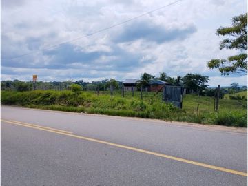 SE VENDE FUNDO EN CARRETERA YURIMAGUAS - TARAPOTO
