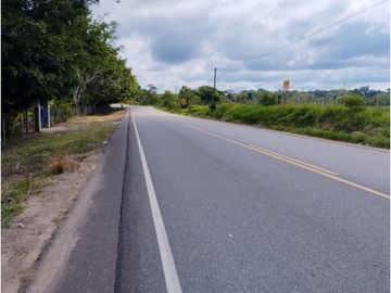 SE VENDE FUNDO EN CARRETERA YURIMAGUAS - TARAPOTO