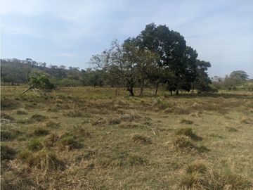 Se Vende Finca de 10 HAS en Monte Oscuro-La Chorrera (DR)
