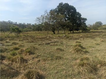 Se Vende Finca de 10 HAS en Monte Oscuro-La Chorrera (DR)