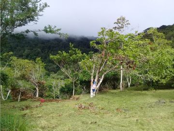 Se Vende Lote en Chica Panamá Oeste (DR)