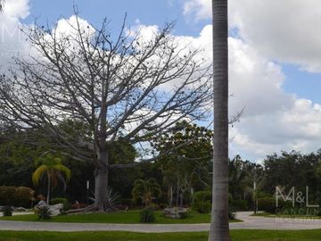 Terreno residencial exclusivo residencial selvamar playa del carmen q.roo