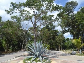 Terreno residencial exclusivo residencial selvamar playa del carmen q.roo