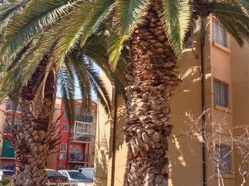 Departamento en Venta en CONDOMINIO LAS TORRES EN AVDA. LA TRAVESIA A UNA CUADRA DE AVDA. LAS TORRES