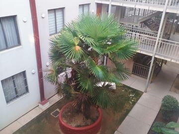 VENTA DEPARTAMENTO 30 ORIENTE TALCA