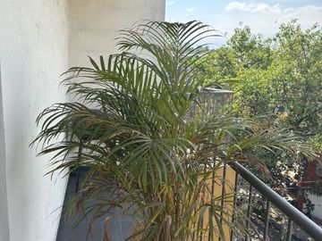 Departamento en Venta Granjas México Iztacalco con Roof Garden Privado