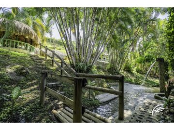 FINCA CAMPESTRE EN VENTA EN SAN JERONIMO,ANTIOQUIA