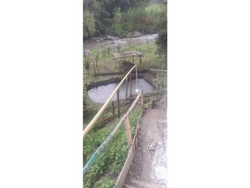 Venta de casa de un nivel  entre Santa Rosa y Chinchina