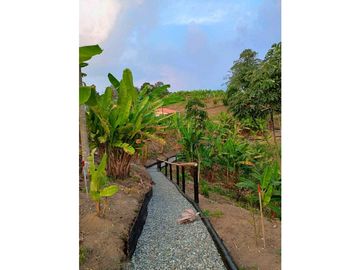 Se vende casa campestre en el camino, Quindio