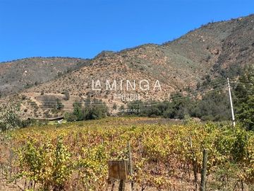 Agrícola en Venta en Sector Cholqui