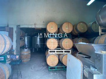 Agrícola en Venta en Sector Cholqui