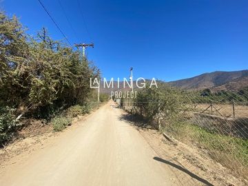 Agrícola en Venta en Sector Cholqui