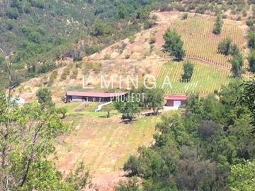 Agrícola en Venta en Sector Cholqui