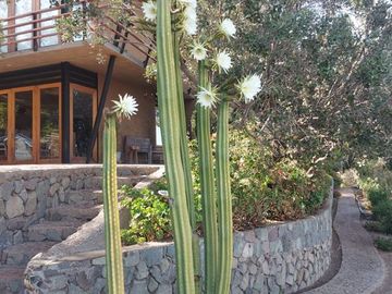 Casa en Venta en SANTA SOFÍA DE LO CAÑAS