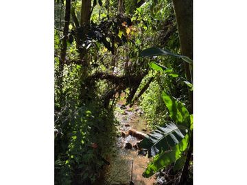 SE VENDE FINCA AMOBLADA EN MARINILLA VIA EL PEÑOL CERCA ALTO DEL [S&S]