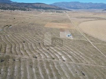 Terreno agrícola en venta en El Cedrito, Arteaga, Coahuila