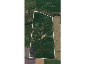 CAMPO AGRICOLA EN VENTA - 50 HAS EN DISTRITO QUEBRACHO
